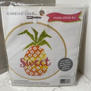 Counted Cross Stitch Kit Dimensions 72-75343 Learn-A-Craft Sweet Pineapple‎ - 6"